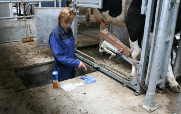 Milk sampling kit