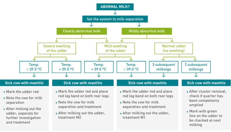 Schema on what to do if you get abnormal milk