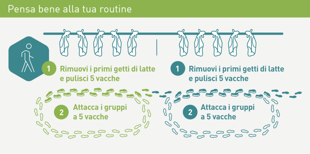 Routine di Mungitura 