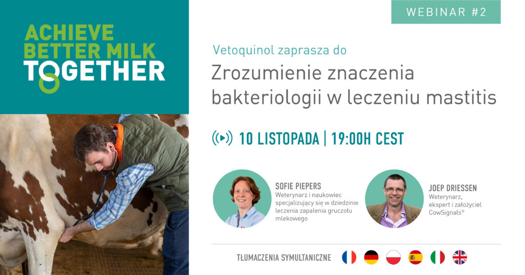 Webinar 2