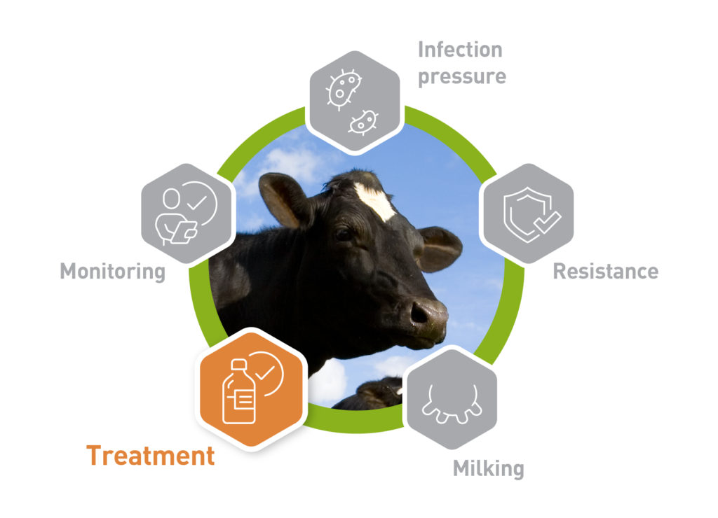 Testing milk samples: the key to mastitis control