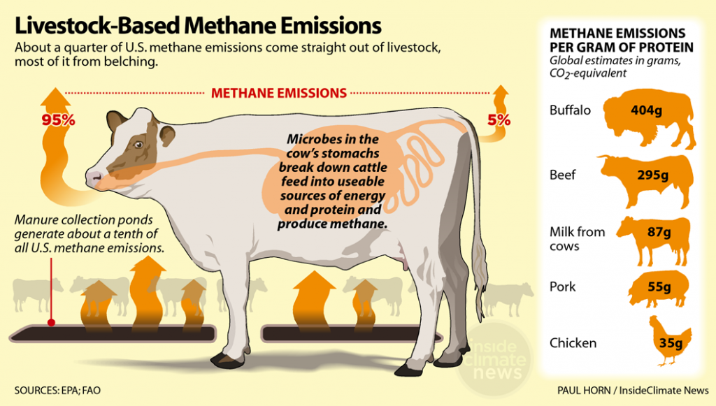 livestock based methane emissions